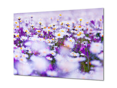 Modern Glass Picture - Contemporary Wall Art SART04 Flowers and leaves Series: Spring field of white fresh daisies
