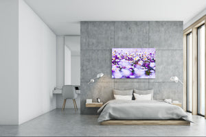 Modern Glass Picture - Contemporary Wall Art SART04 Flowers and leaves Series: Spring field of white fresh daisies