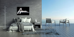 Wall Art - Glass Print Canvas Picture SART03B Animals Series: White tiger