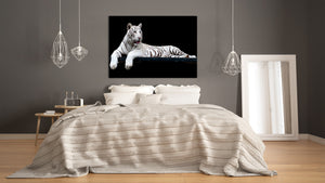 Wall Art - Glass Print Canvas Picture SART03B Animals Series: White tiger