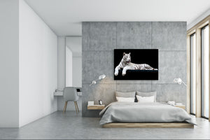 Wall Art - Glass Print Canvas Picture SART03B Animals Series: White tiger