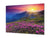 Modern Glass Picture - Contemporary Wall Art SART01 Nature Series: Pink flowers on a summer mountain