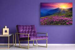 Cuadro de vidrio moderno - Arte mural contemporáneo SART01 Serie Naturaleza: Flores rosas en una montaña de verano