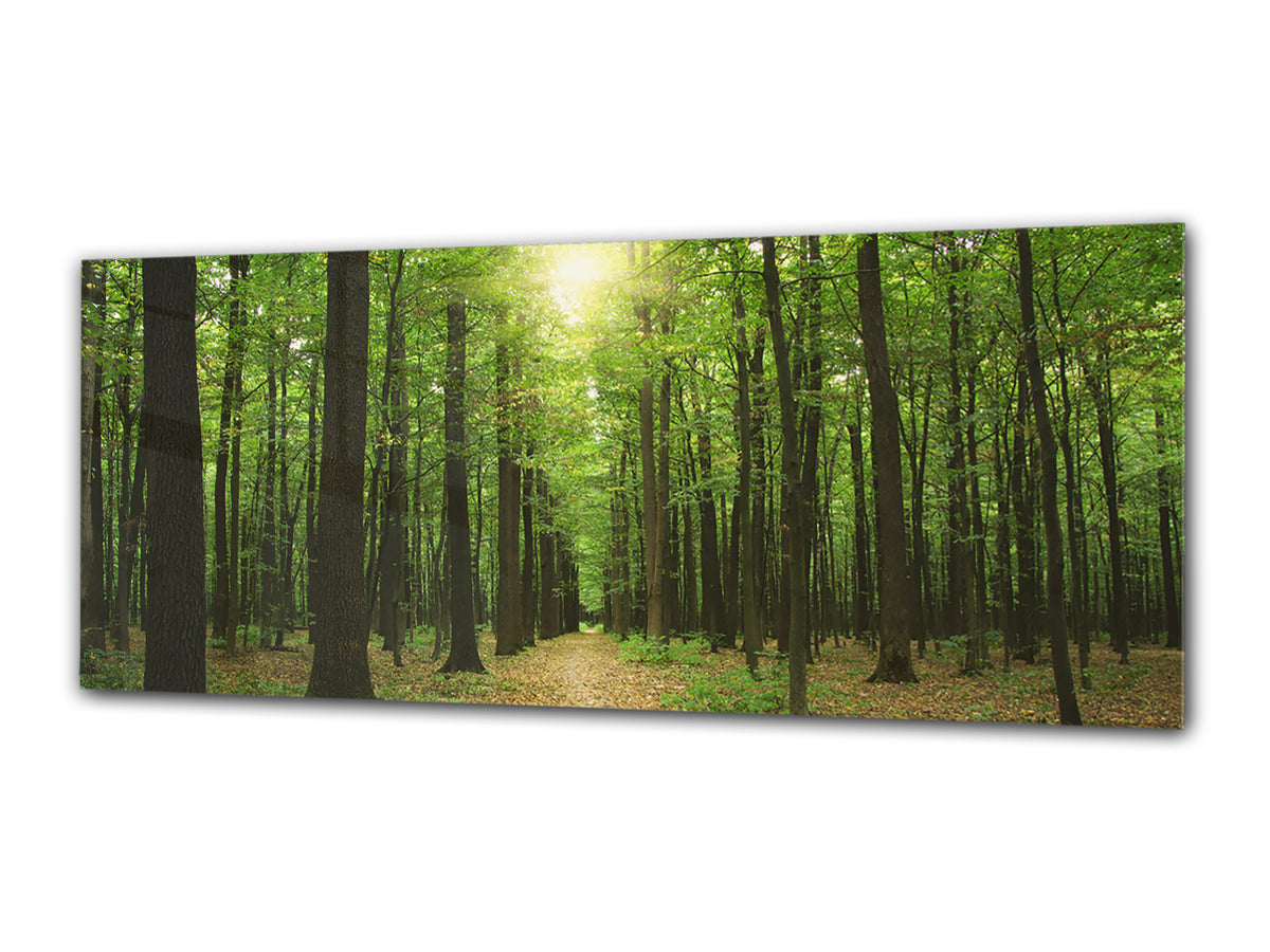 Glass Print Wall Art – Image on Glass 125 x 50 cm (? 50” x 20”) ; Forest 7