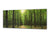Glass Print Wall Art – Image on Glass 125 x 50 cm (≈ 50” x 20”) ; Forest 7