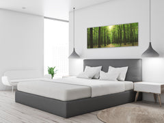 Glass Print Wall Art – Image on Glass 125 x 50 cm (? 50” x 20”) ; Forest 7