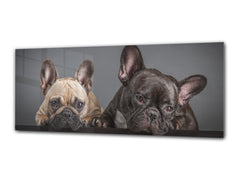 Glass Print Wall Art – Image on Glass 125 x 50 cm (? 50” x 20”) ; Dogs 1