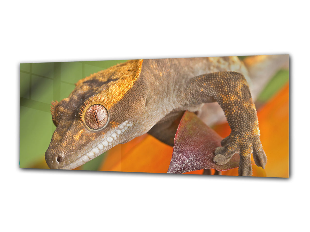 Glass Print Wall Art – Image on Glass 125 x 50 cm (? 50” x 20”) ; Animal 1