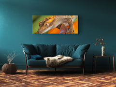 Glass Print Wall Art – Image on Glass 125 x 50 cm (? 50” x 20”) ; Animal 1