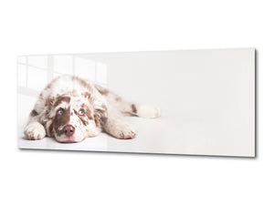 Wall Art Glass Print Picture – Available in 5 different sizes – Animals Series 02: Dog