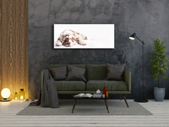 Wall Art Glass Print Picture – Available in 5 different sizes – Animals Series 02: Dog