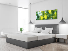 Glass Print Wall Art – Image on Glass 125 x 50 cm (? 50” x 20”) ; Leaves 1