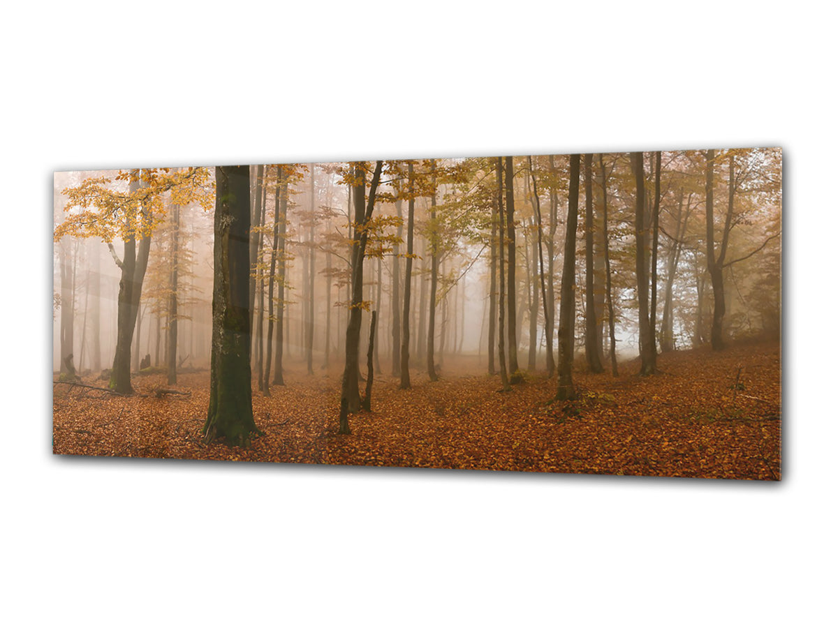 Glass Print Wall Art – Image on Glass 125 x 50 cm (? 50” x 20”) ; Forest 19