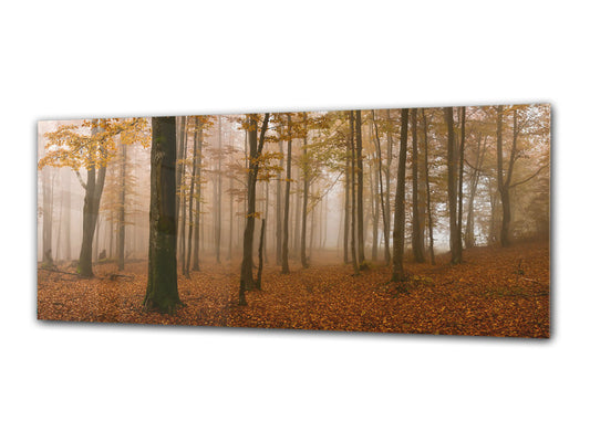 Glass Print Wall Art – Image on Glass 125 x 50 cm (? 50” x 20”) ; Forest 19