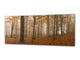 Glass Print Wall Art – Image on Glass 125 x 50 cm (≈ 50” x 20”) ; Forest 19