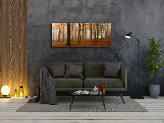Glass Print Wall Art – Image on Glass 125 x 50 cm (? 50” x 20”) ; Forest 19