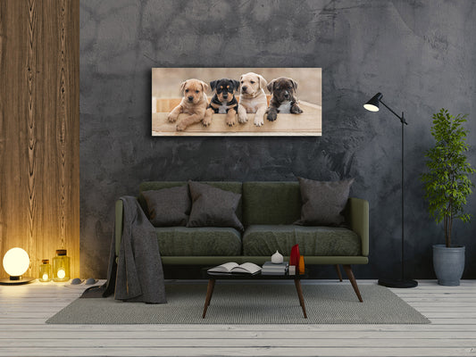 Wall Art Glass Print Picture – Available in 5 different sizes – Animals Series 02: Terrier puppies