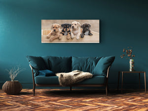 Wall Art Glass Print Picture – Available in 5 different sizes – Animals Series 02: Terrier puppies