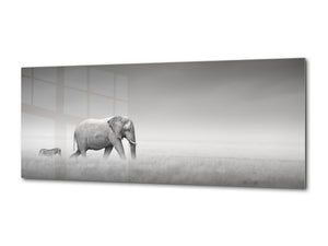 Wall Art Glass Print Picture – Available in 5 different sizes – Animals Series 02: African animals