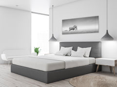 Wall Art Glass Print Picture – Available in 5 different sizes – Animals Series 02: African animals