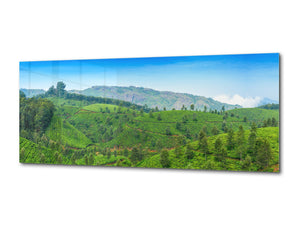 Glass Print Wall Art – Available in 5 different sizes – Nature Series 01A: Tea plantations in India