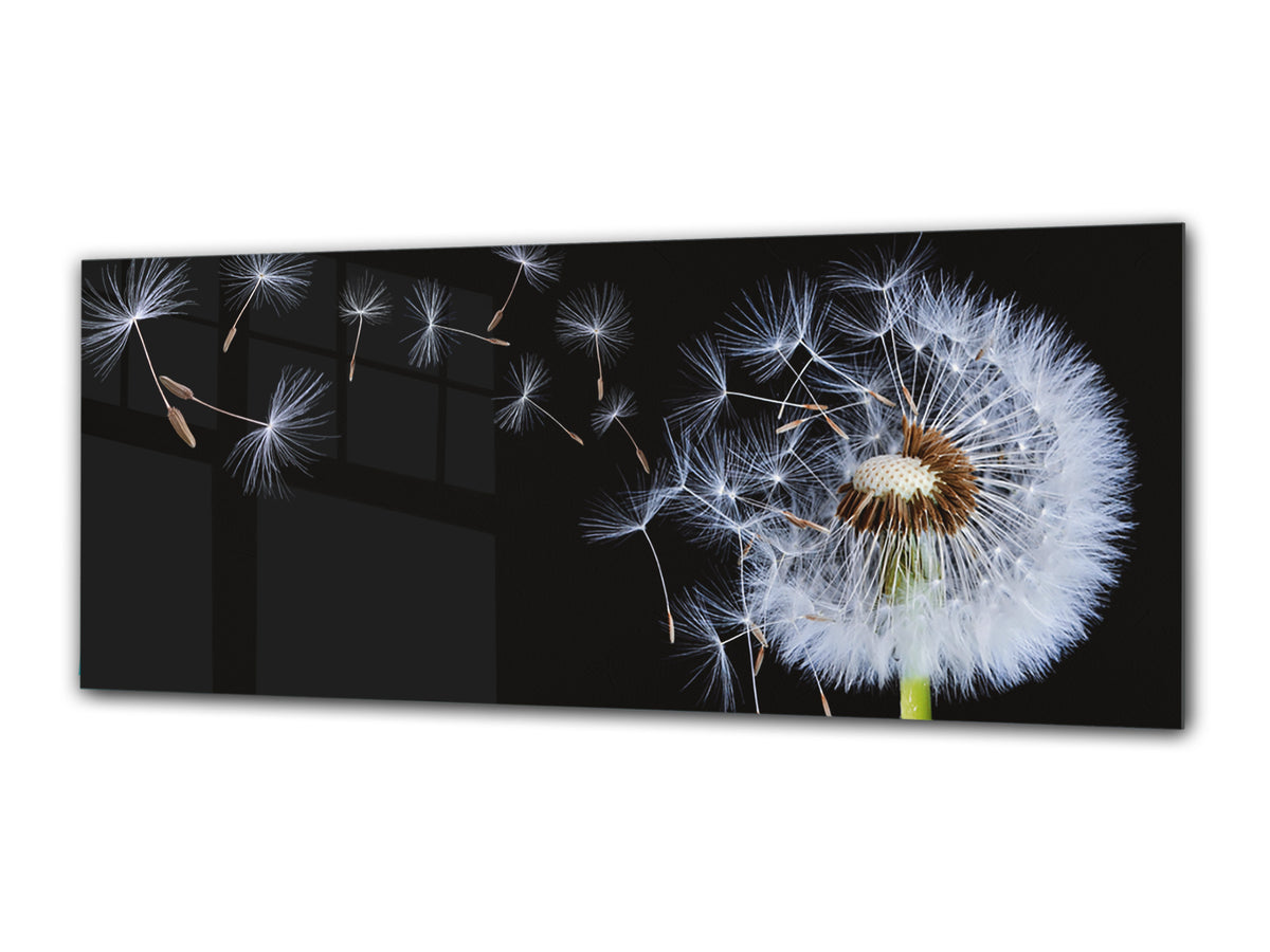 Glass Print Wall Art – Image on Glass 125 x 50 cm (? 50” x 20”) ; Dandelion 5