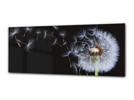 Glass Print Wall Art – Image on Glass 125 x 50 cm (? 50” x 20”) ; Dandelion 5