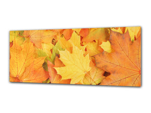 Wall Art Glass Print Picture 125 x 50 cm (≈ 50” x 20”) ; Leaves 4