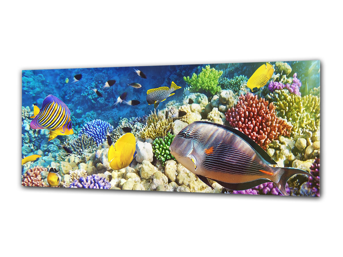 Arte mural con impresión en vidrio: imagen sobre vidrio de 125 x 50 cm (≈ 50” x 20”); Mar 4