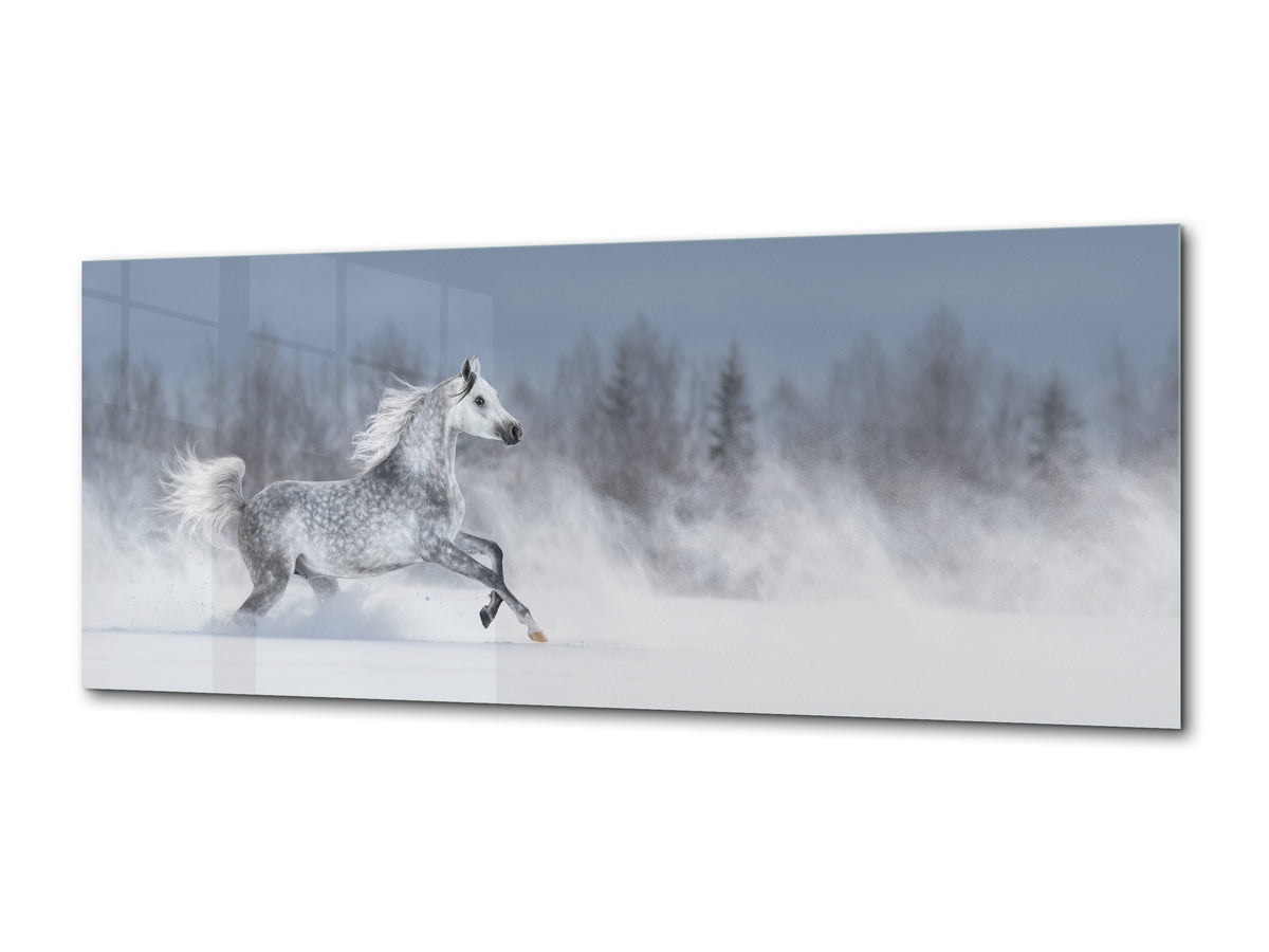 Wall Art Glass Print Picture – Available in 5 different sizes – Animals Series 02: White horse on the snowy field