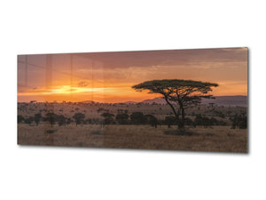Glass Picture Wall Art  – Available in 5 different sizes – Nature Series 01D: The Serengeti