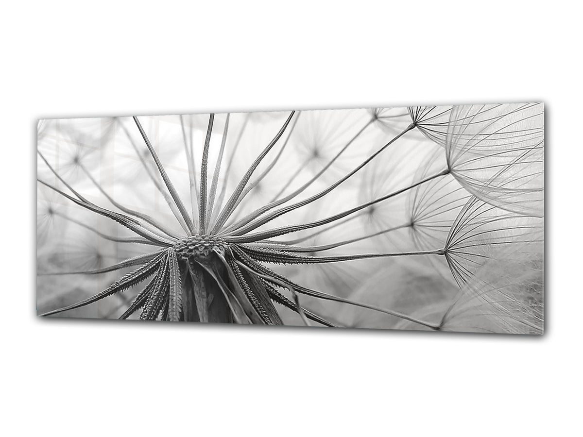 Glass Print Wall Art – Image on Glass 125 x 50 cm (? 50” x 20”) ; Dandelion 8