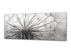 Glass Print Wall Art – Image on Glass 125 x 50 cm (? 50” x 20”) ; Dandelion 8