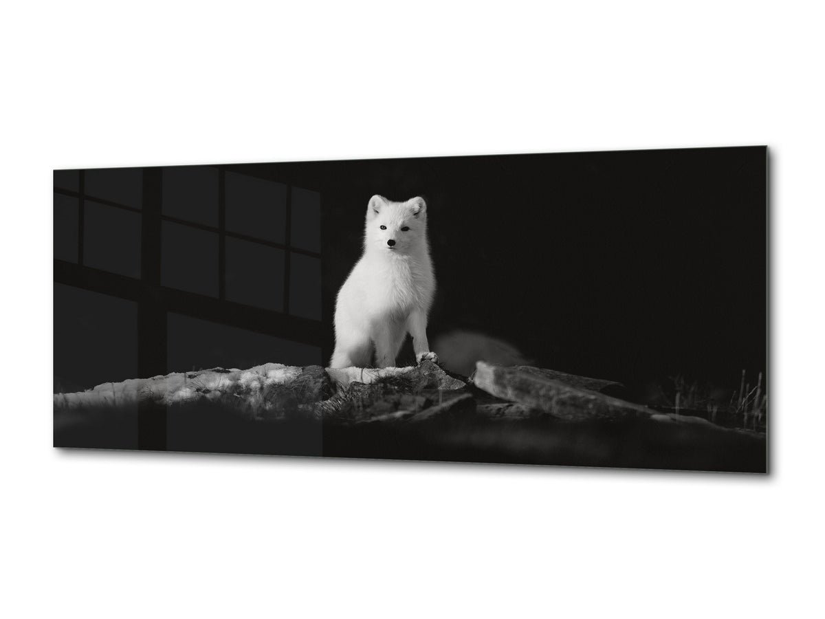 Wall Art Glass Print Picture – Available in 5 different sizes – Animals Series 02 Polar fox