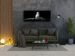 Wall Art Glass Print Picture – Available in 5 different sizes – Animals Series 02 Polar fox