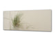 Wall Picture behind Tempered Glass 125 x 50 cm (≈ 50” x 20”) ; Grass 1