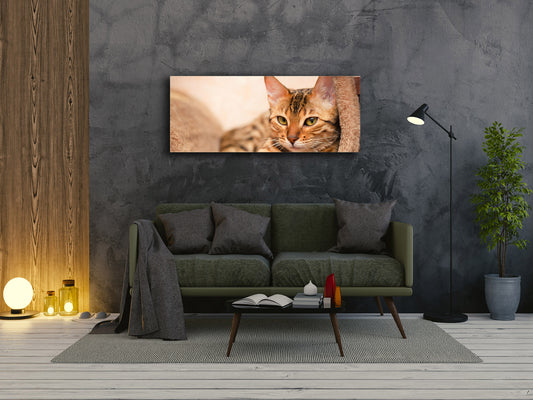 Glass Print Wall Art – Image on Glass 125 x 50 cm (? 50” x 20”) ; Cat 1
