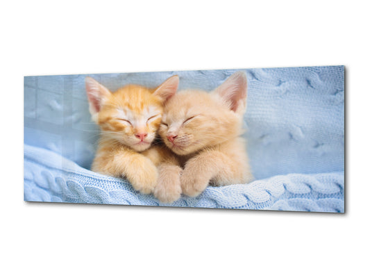 Glass Print Picture – Available in 5 different sizes – Animals Series 02: Baby cats sleeping