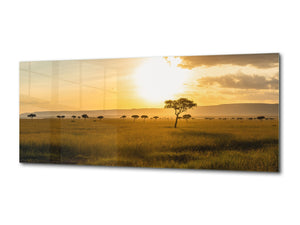 Modern Glass Picture – Available in 5 different sizes – Nature Series 01C – Nature Series 01C: Savanna