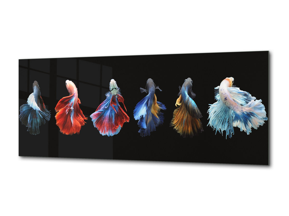 Wall Art Glass Print Picture – Available in 5 different sizes – Animals Series 02: Colorful fish