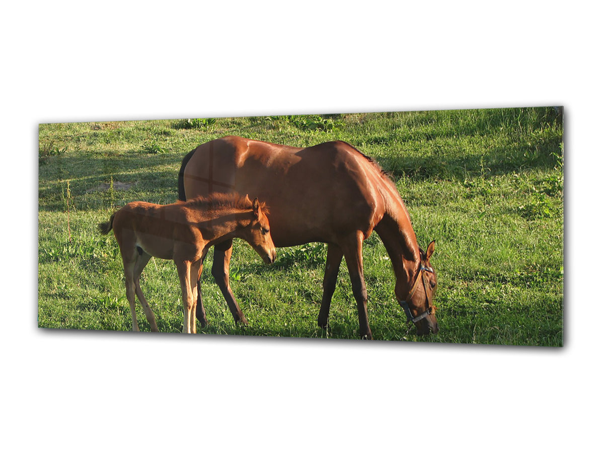 Glass Print Wall Art – Image on Glass 125 x 50 cm (? 50” x 20”) ; Horses 4
