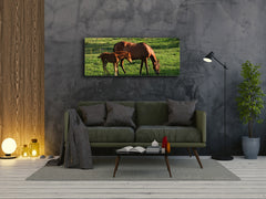 Glass Print Wall Art – Image on Glass 125 x 50 cm (? 50” x 20”) ; Horses 4
