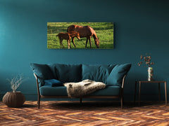 Glass Print Wall Art – Image on Glass 125 x 50 cm (? 50” x 20”) ; Horses 4
