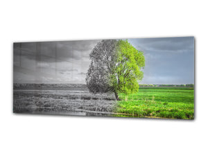 Glass Print Wall Art – Image on Glass 125 x 50 cm (≈ 50” x 20”) ; Tree 2