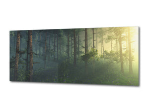 Modern Glass Picture – Available in 5 different sizes – Nature Series 01C: Forest in the morning sun