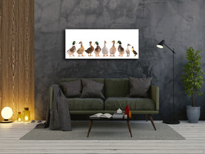Wall Art Glass Print Picture – Available in 5 different sizes – Animals Series 02: Duck family