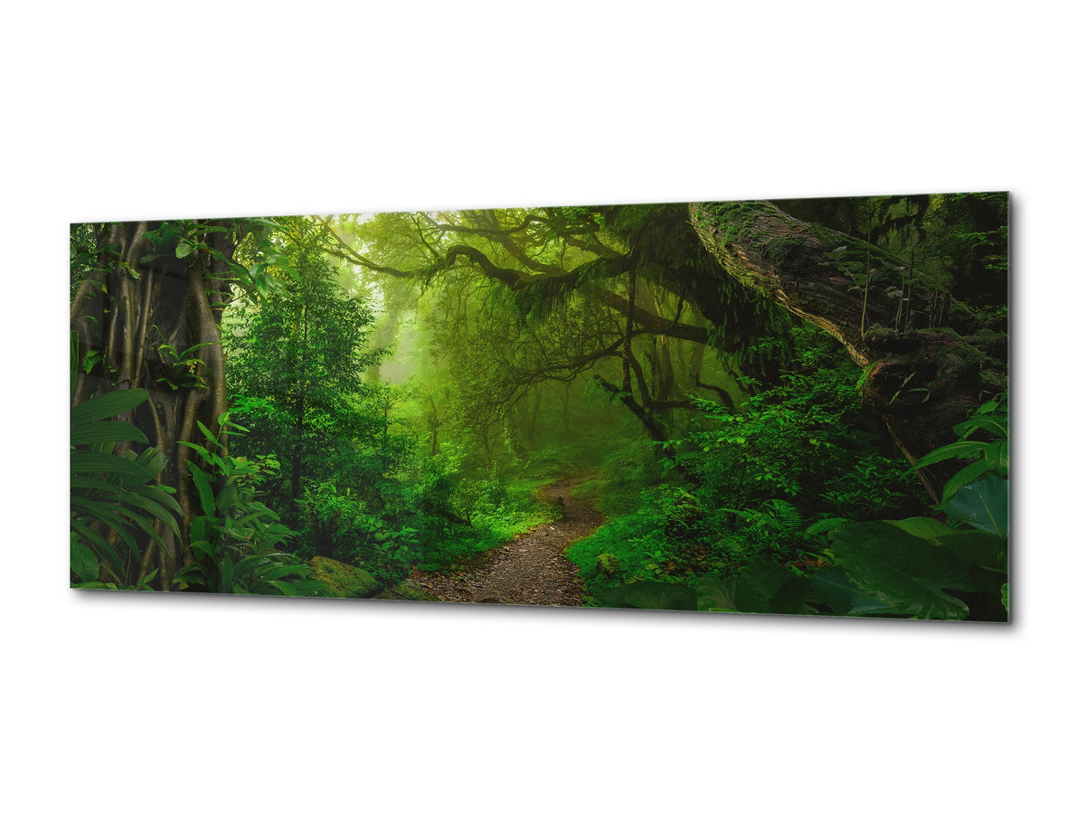 Glass Print Wall Art – Available in 5 different sizes – Nature Series 01A: Tropical jungle
