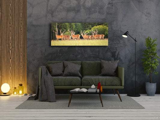 Wall Art Glass Print Picture – Available in 5 different sizes – Animals Series 02: Peaceful animal herd in nature