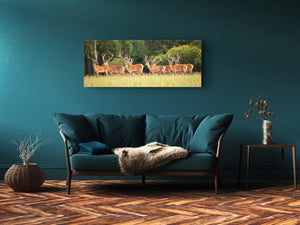 Wall Art Glass Print Picture – Available in 5 different sizes – Animals Series 02: Peaceful animal herd in nature