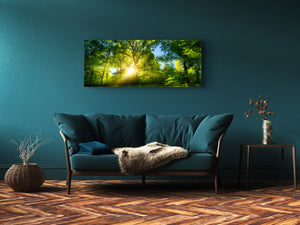 Glass Print Wall Art – Available in 5 different sizes – Nature Series 01A: Sunlight in a lush green forest